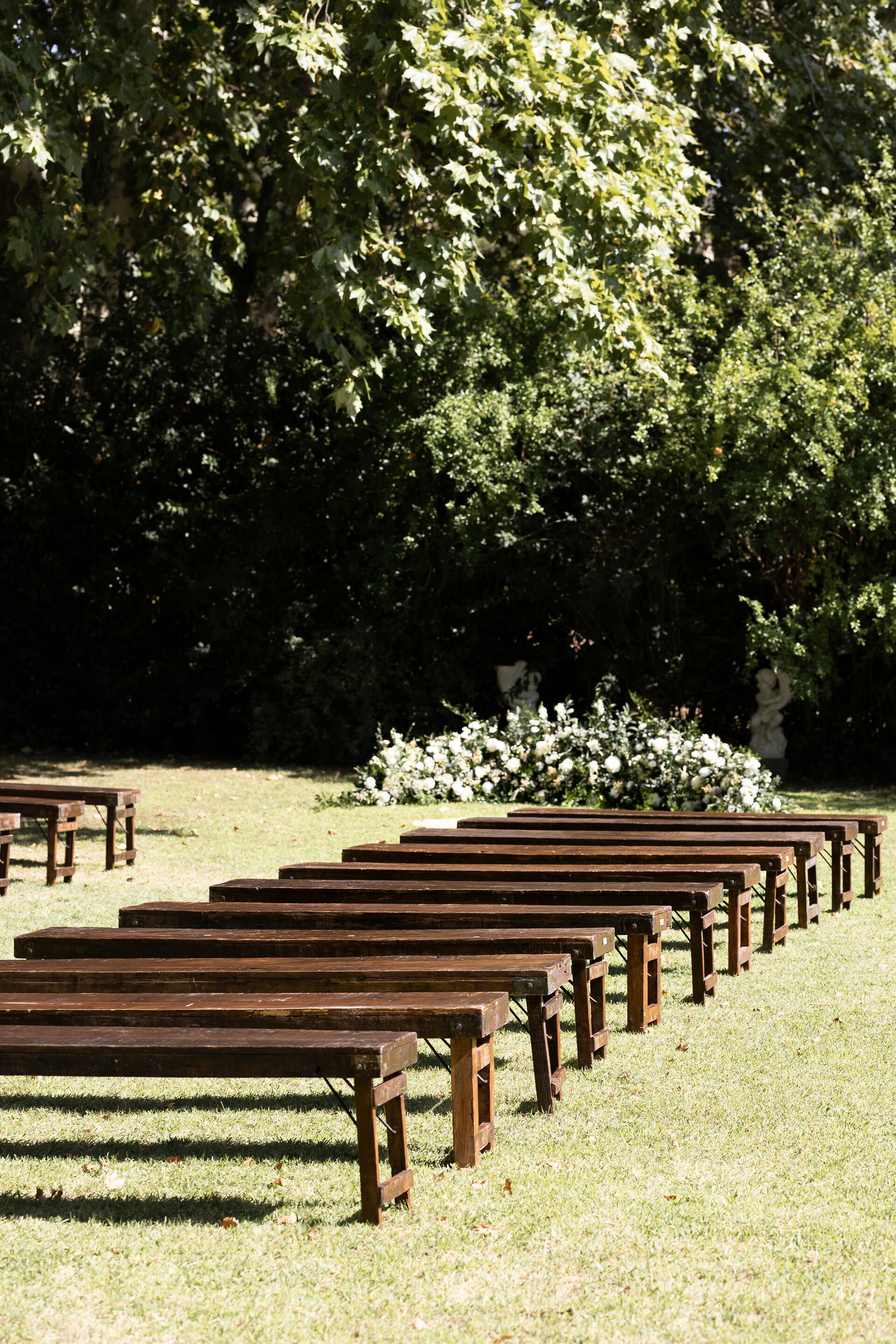 Mariage à l'ombre des arbres - Aix-en-Provence