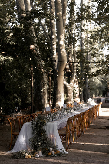 Mariage à l'ombre des arbres - Aix-en-Provence